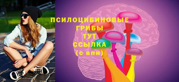 спайс Кострома