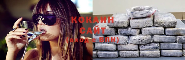 винт Новокубанск
