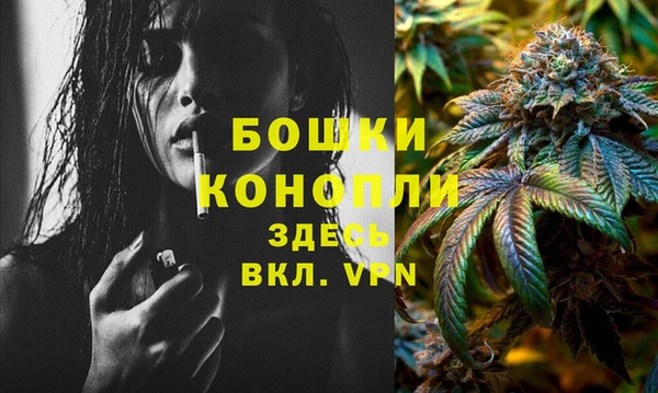 PSILOCYBIN Заволжье