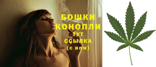 синтетический гашиш Новодвинск
