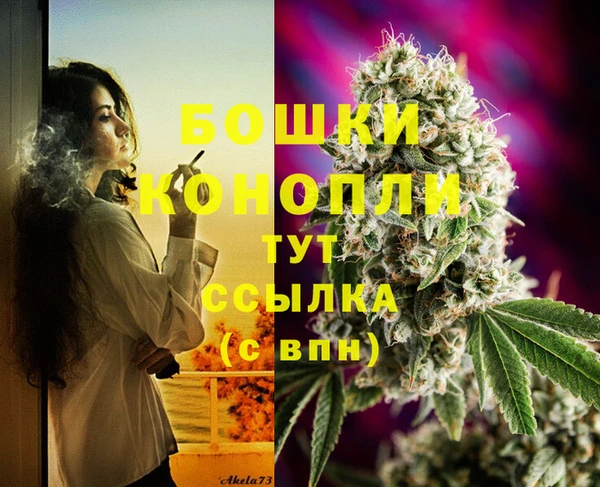 наркотики Новозыбков