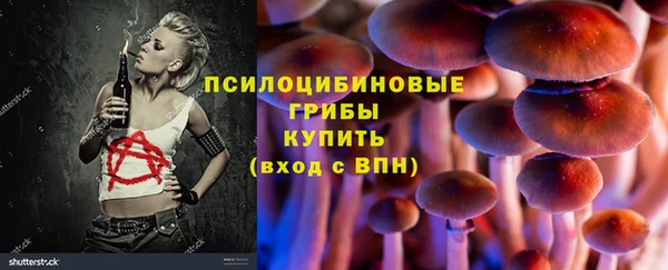 меф Нягань