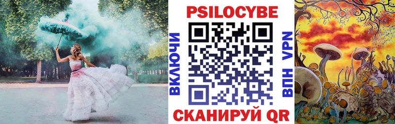 гидра рабочий сайт  shop состав  Псилоцибиновые грибы Psilocybe  где найти наркотики  Курлово 